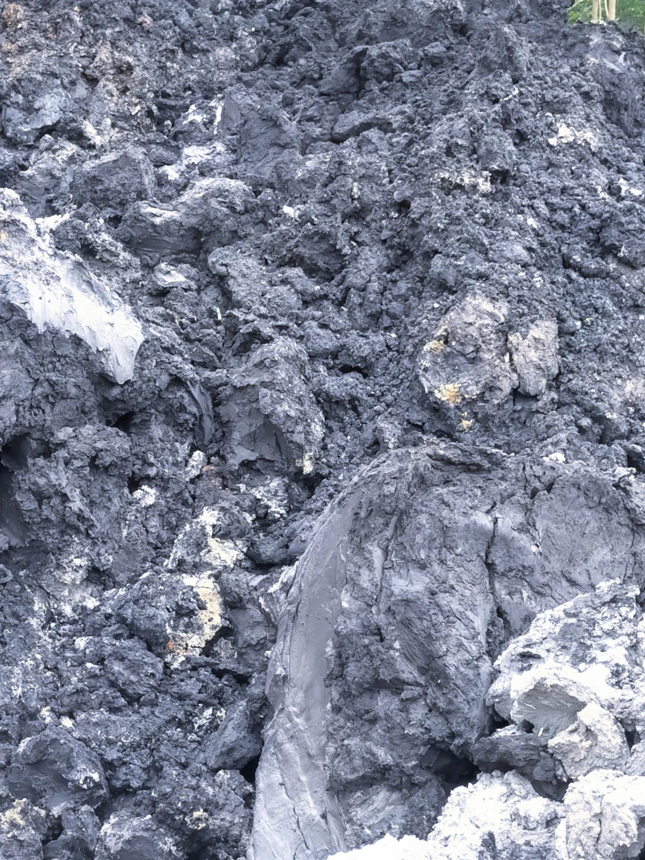 202505281113358244.jpg